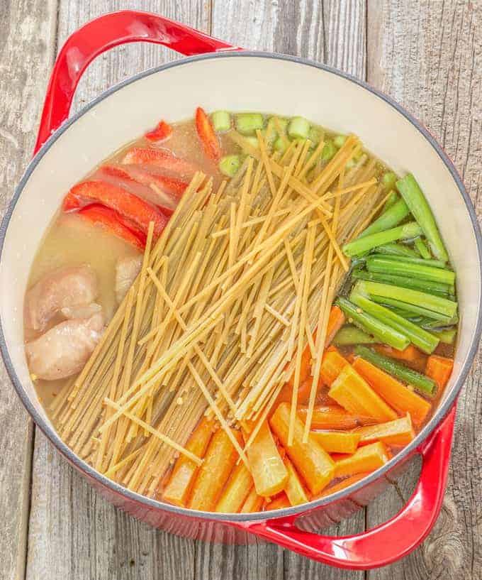 One Pot Wonder Chicken Lo Mein The Wholesome Dish