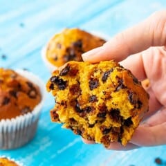 The best pumpkin muffin recipe with chocolate chips muffin torn open to show chocolate chips inside