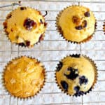 4 muffins made with the standard muffin recipe - blueberry, chocolate chip, cranberry coconut, and brown sugar oat muffins
