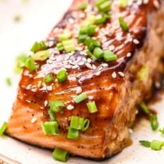 piece of baked salmon smothered in dark teriyaki glaze and sprinkled with sesame seeds and sliced green onions