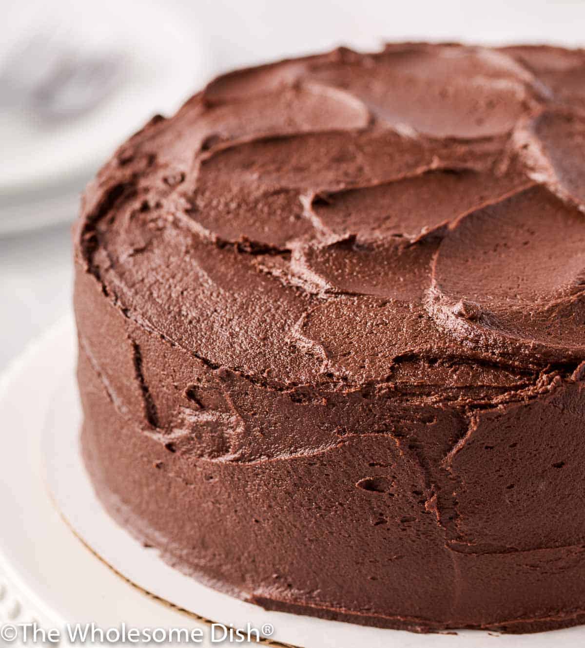 2 layer chocolate cake with chocolate icing on a cake stand