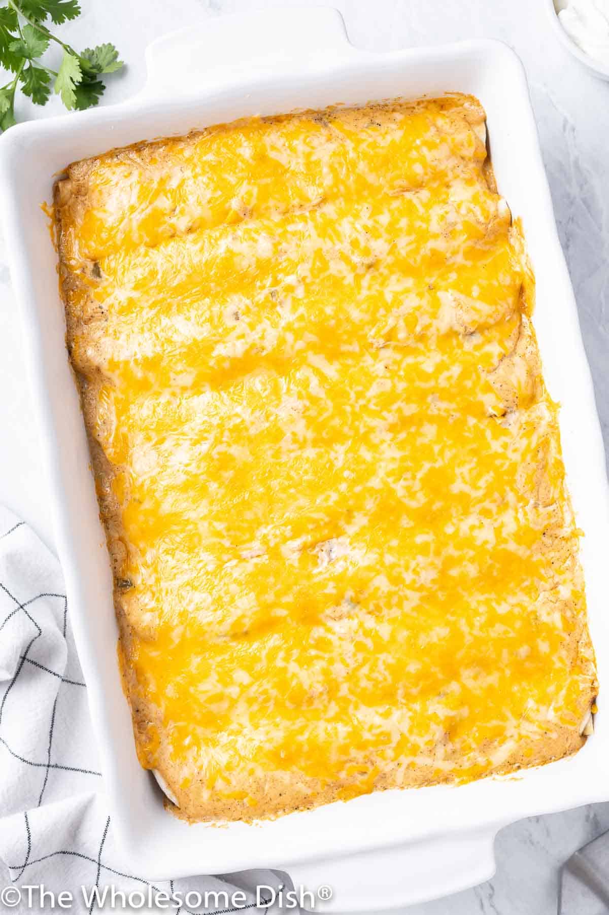 Baking dish full of enchiladas covered in melted cheese