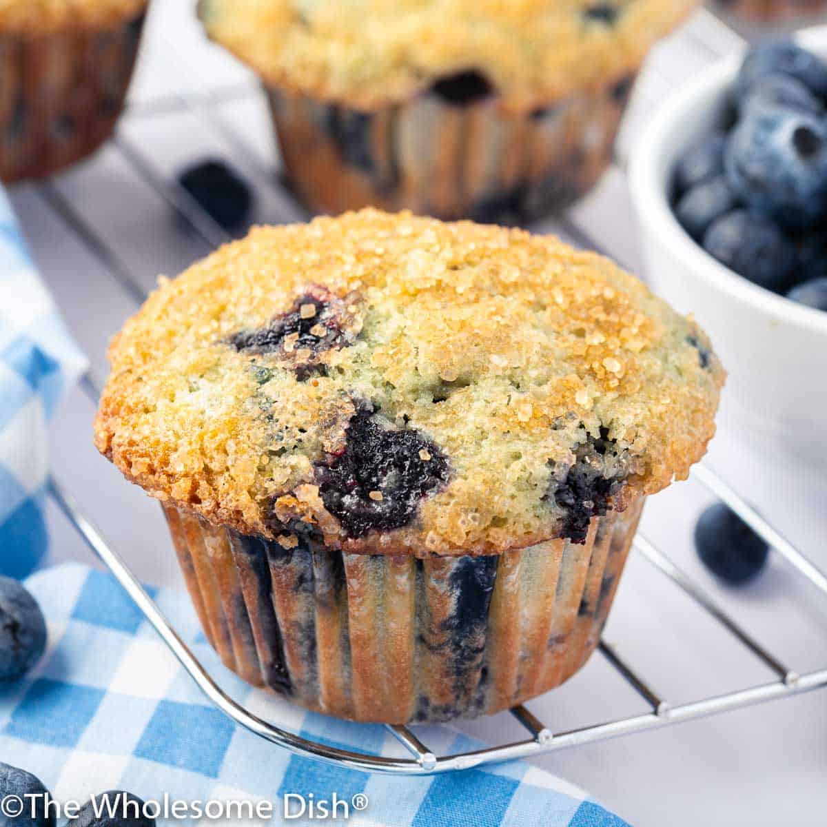 Big baked blueberry muffin on a wire rack.